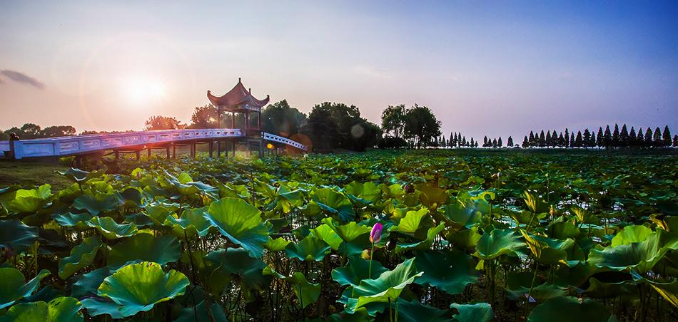 荊州洪湖藍田生態(tài)園拓展基地