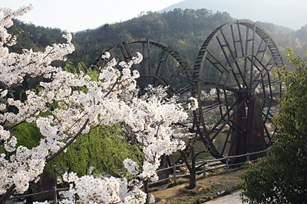 黃陂木蘭草原旅游拓展基地