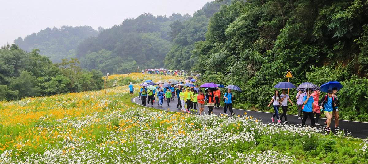 江夏環(huán)山綠道徒步拓展基地